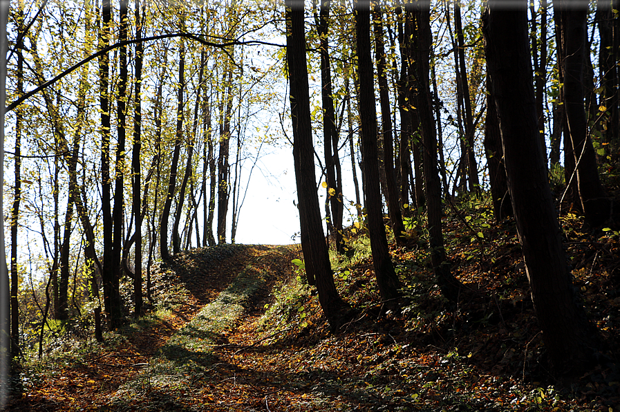 foto Paesaggi autunnali